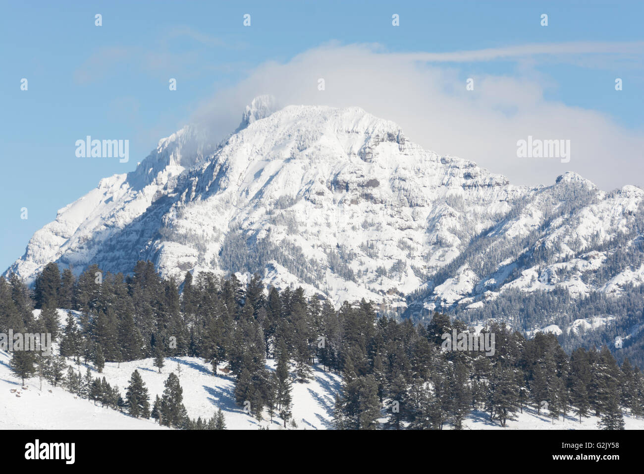 Absaroka Mountain Range, il Parco Nazionale di Yellowstone USA Foto Stock