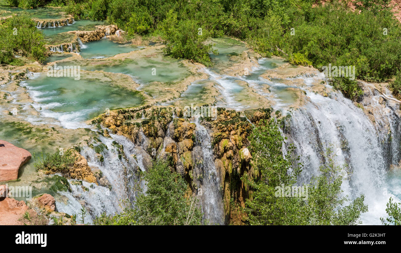 Acqua da Havasu Creek scorre sulle piscine in travertino e giunchi oltre po' Navajo cade sul Havasupai Indian Reservation. Foto Stock