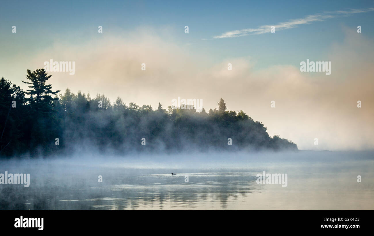 Foschia mattutina sul Rock Lake, in Algonquin Park. Foto Stock