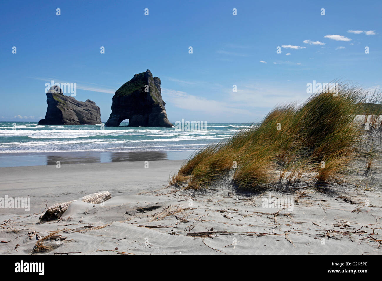 Golden Bay travel funzione, Nelson, Nuova Zelanda: tipicamente un forte vento di ponente blast erbe a Wharariki Beach Foto Stock