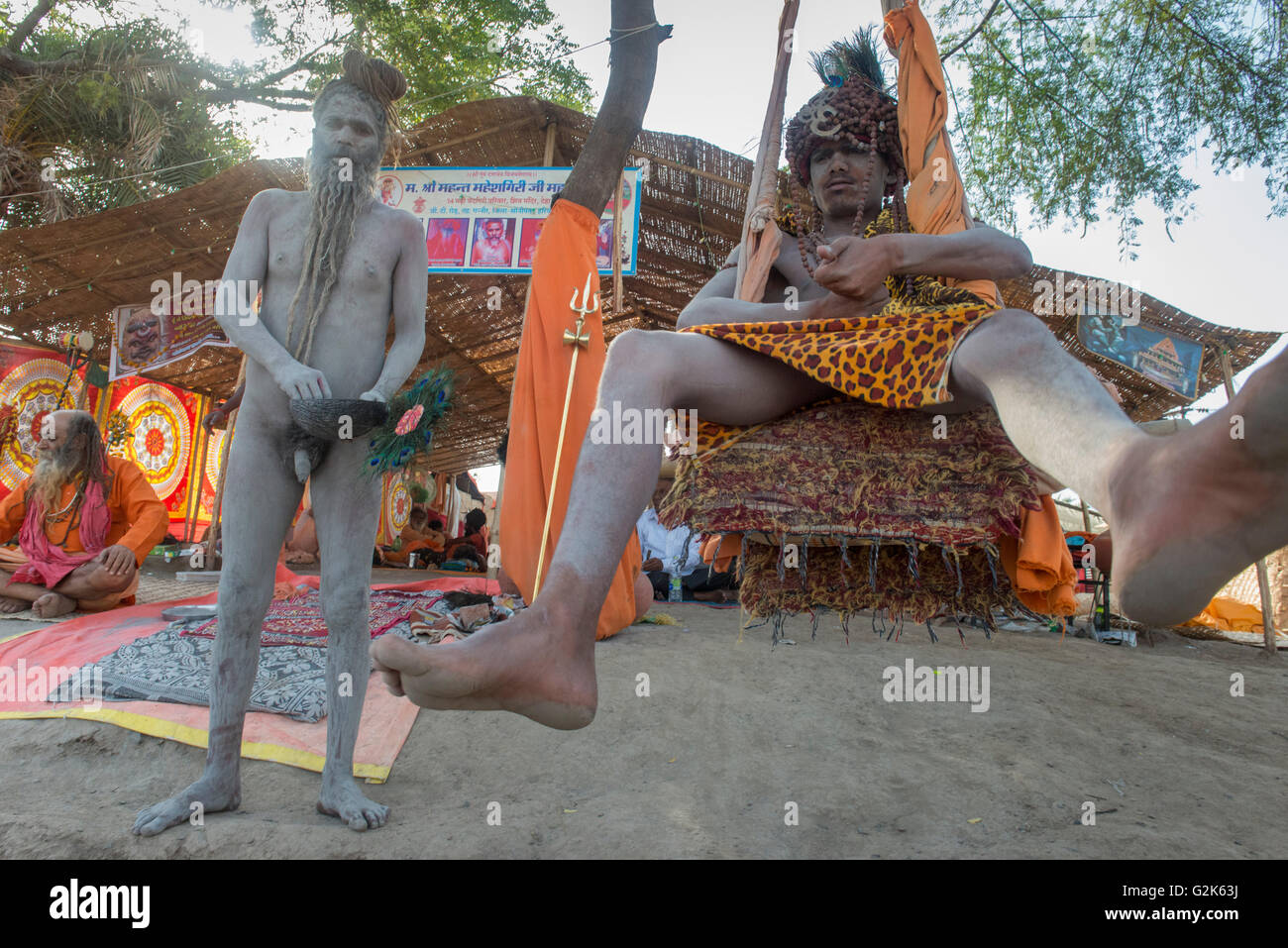 Due Naga Sadhus fuori Akhara, uno su una imbracatura con panno Panther, Ujjain Kumbh Mela 2016 Foto Stock