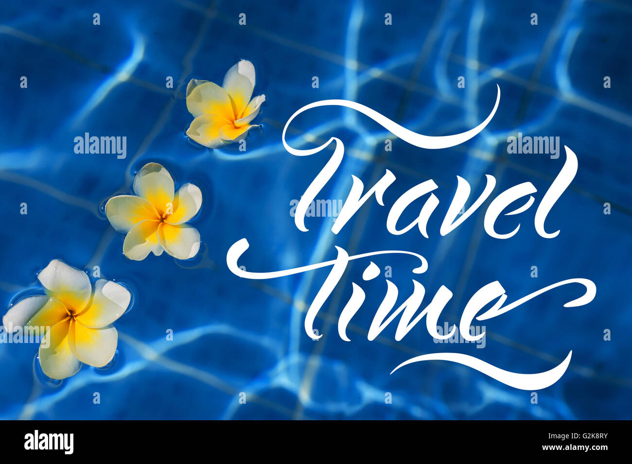 Tropicale fiore di frangipani galleggianti in acqua blu e parole il tempo di viaggio Foto Stock
