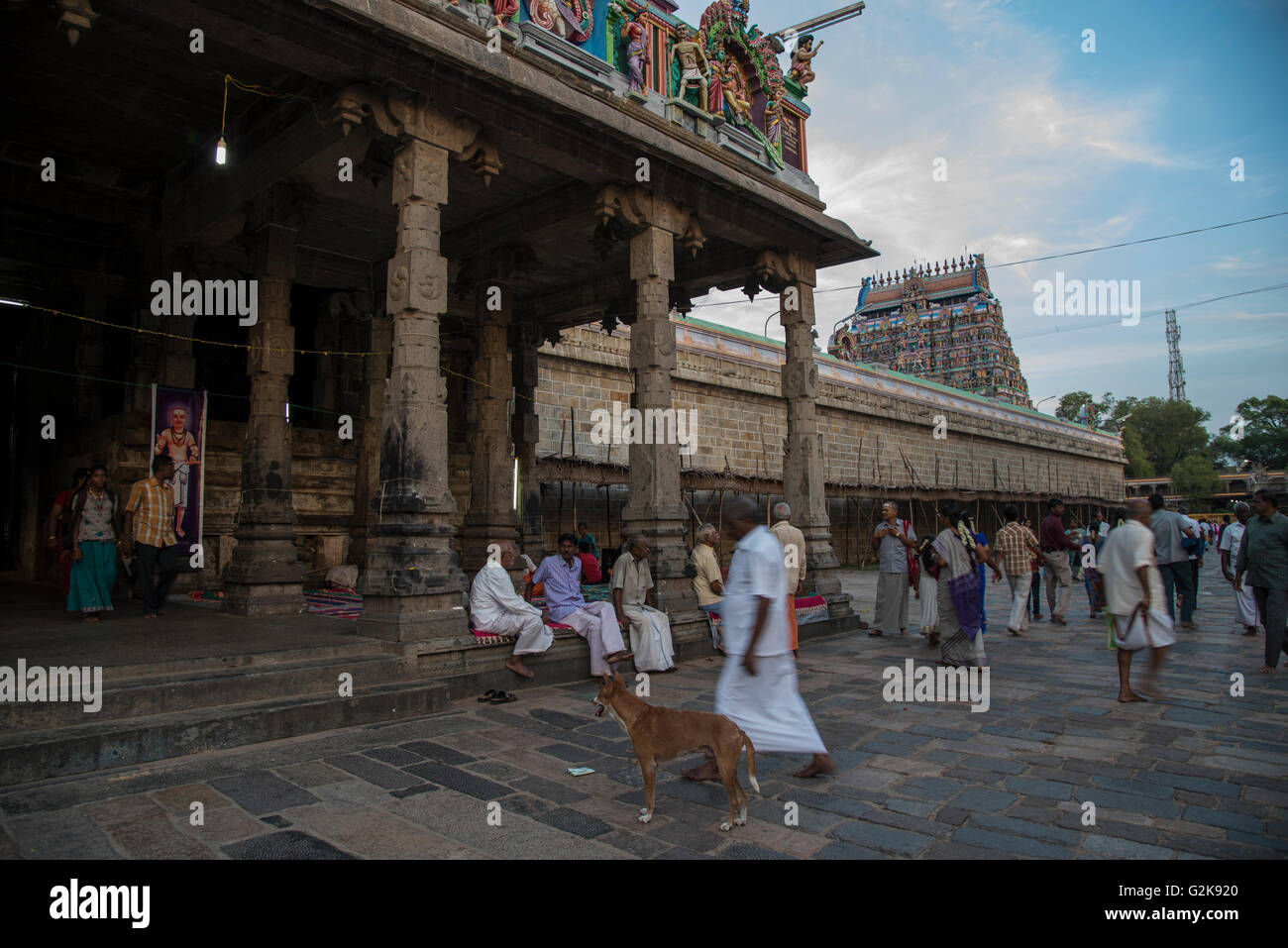 Signore Shiva tempio di Chidambaram,Tamilnadu, India. Migliaia di pellegrini giungono ogni anno in questo tempio. Foto Stock