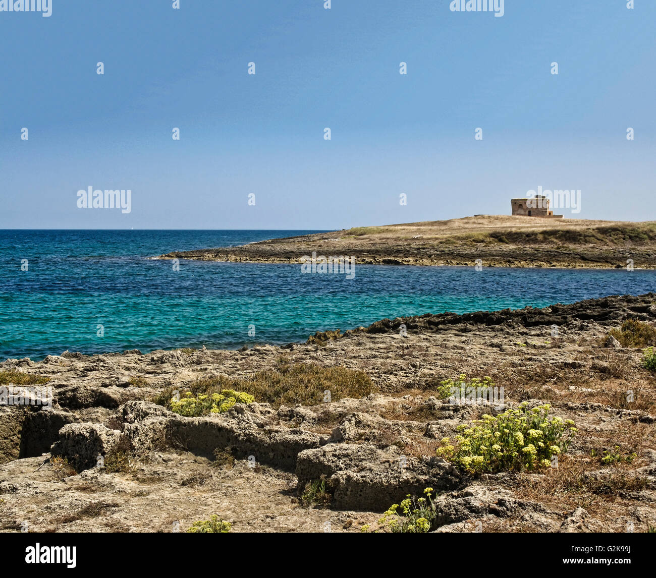 Panorama Torre guaceto con panorama sul mare Foto Stock