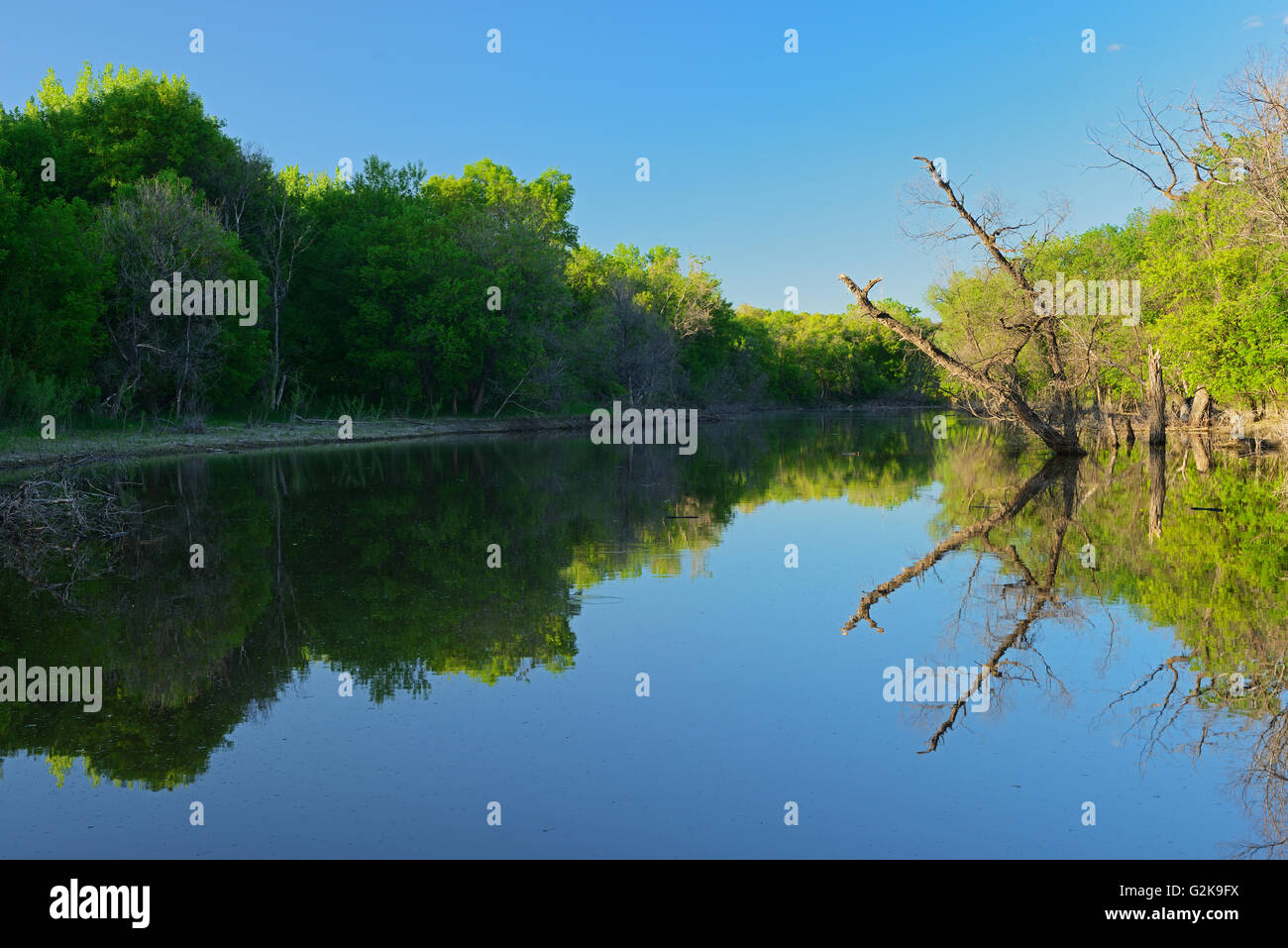 La riflessione sul Fiume Senna. Senna foresta, Winnipeg Manitoba Canada Foto Stock