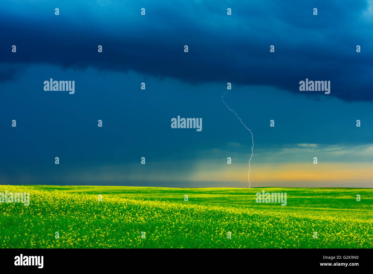 Colpo di fulmine durante la tempesta di pioggia sulla prateria canadese Deloraine Manitoba Canada Foto Stock