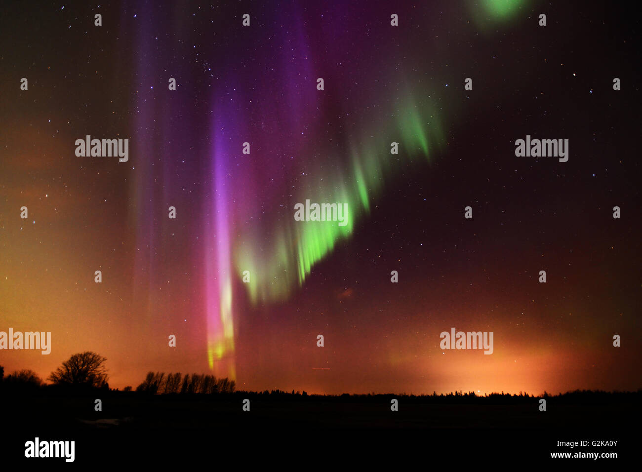 Luci del nord (Aurora boreale) Gli uccelli Collina Parco Provinciale di Manitoba in Canada Foto Stock