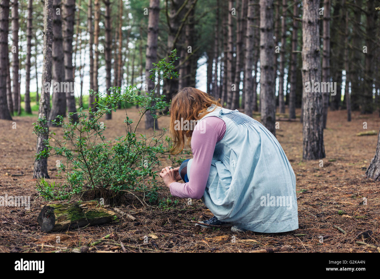 Una giovane donna è rovistando nella radura di una foresta Foto Stock