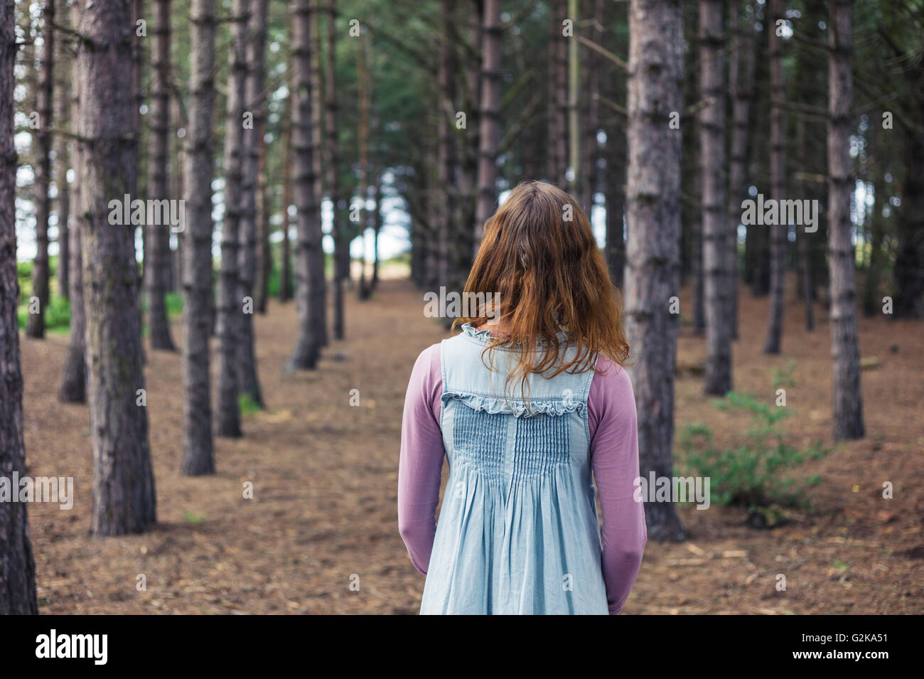 Una giovane donna è in piedi in una radura della foresta e sta guardando gli alberi Foto Stock