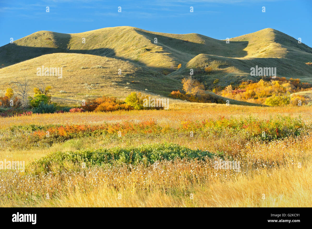 Colline in autunno Saskatchewan Landing Parco Provinciale del Saskatchewan, Canada Foto Stock