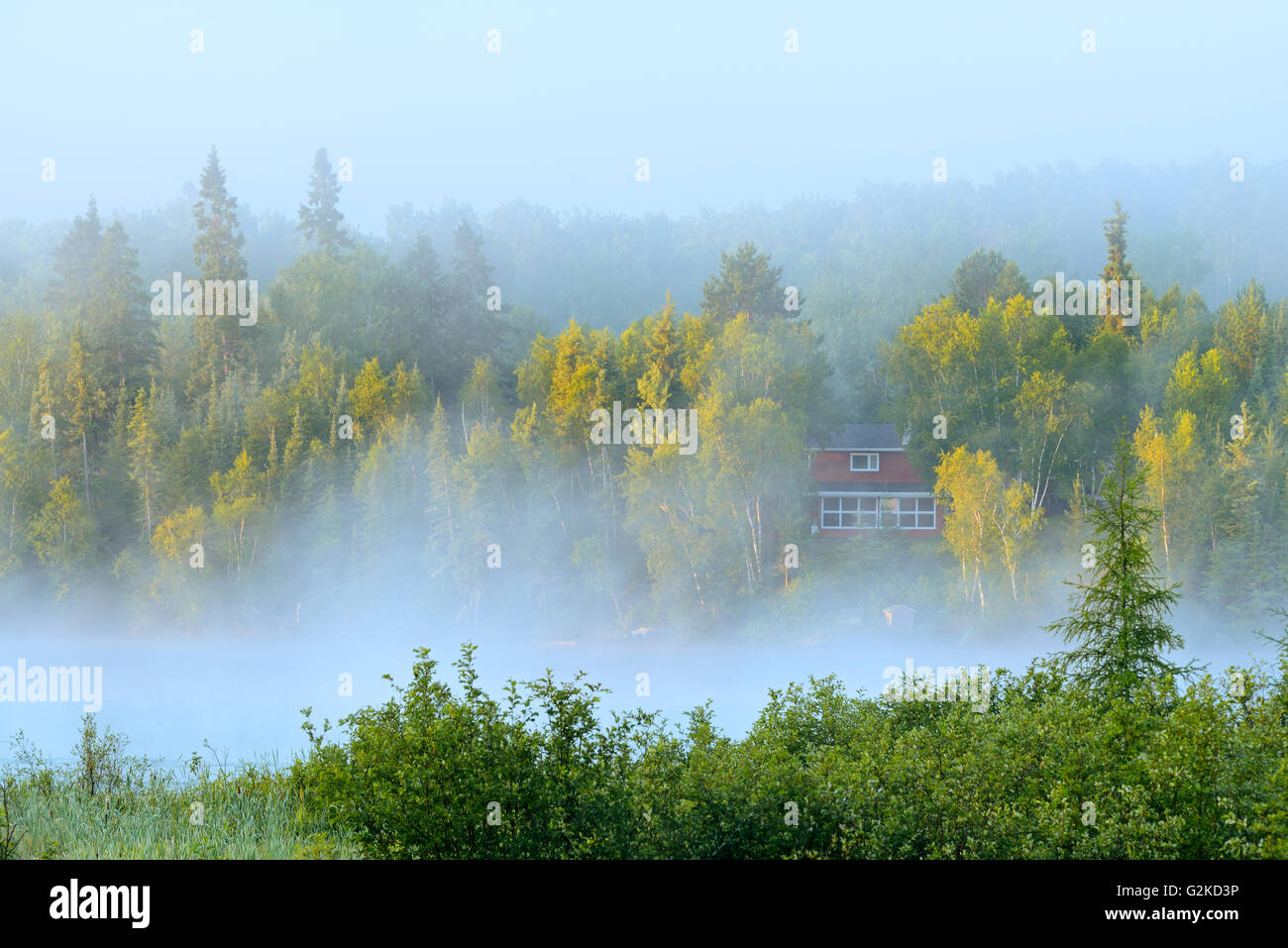 Cottage nella nebbia mattutina sul Longbow Kenora Lago Ontario Canada Foto Stock