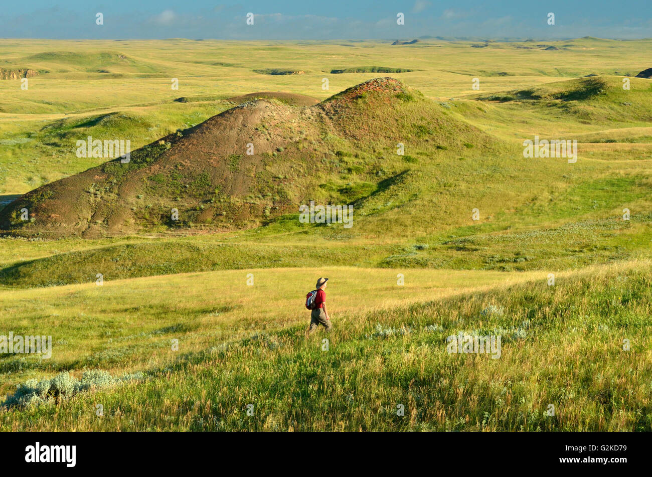 Escursionismo nelle praterie. Signor praterie Parco Nazionale di Saskatchewan in Canada Foto Stock