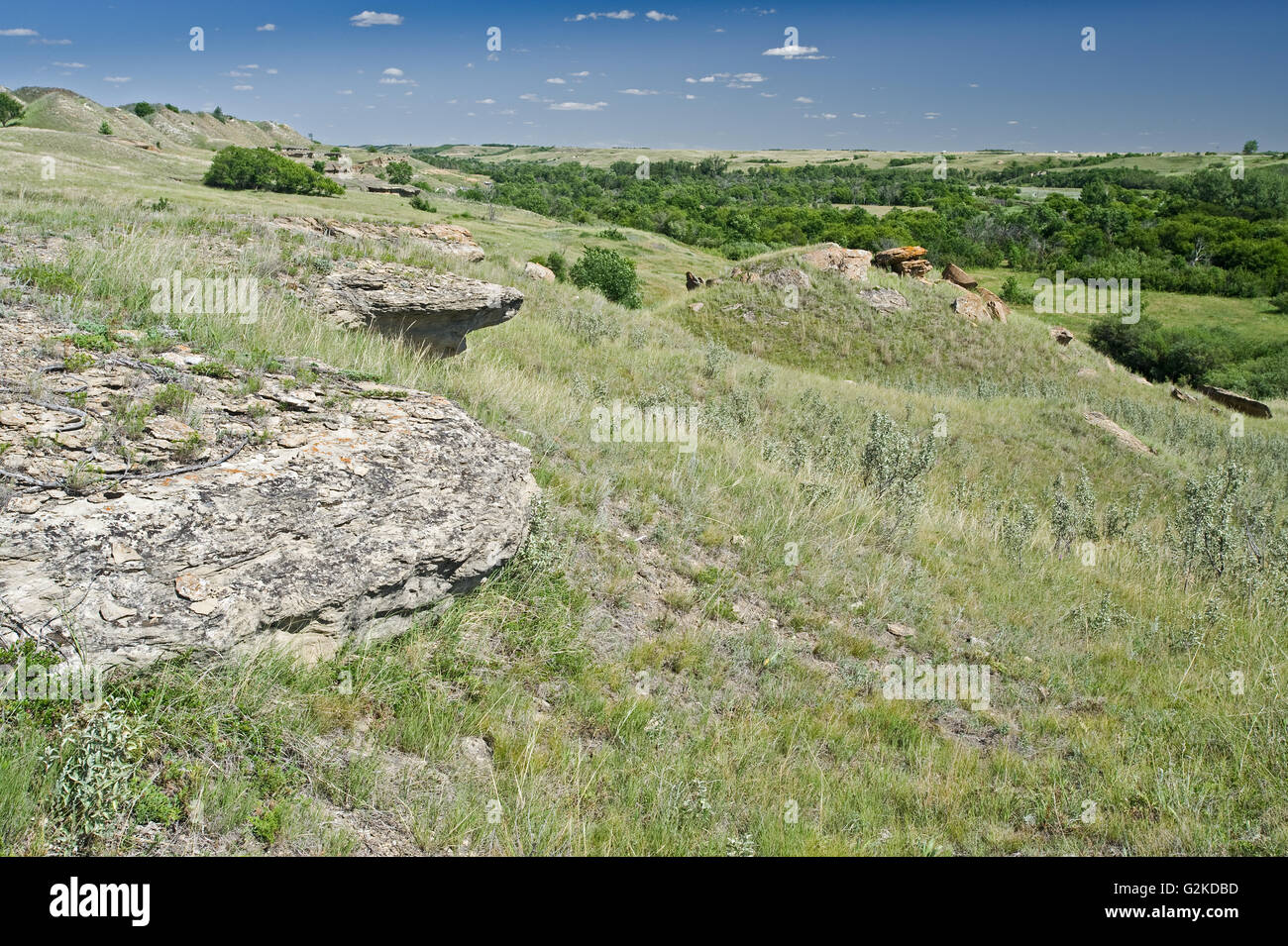 Roccia Arenaria formazione sulla prateria Roche Perce vicino Estevan Saskatchewan Canada Foto Stock
