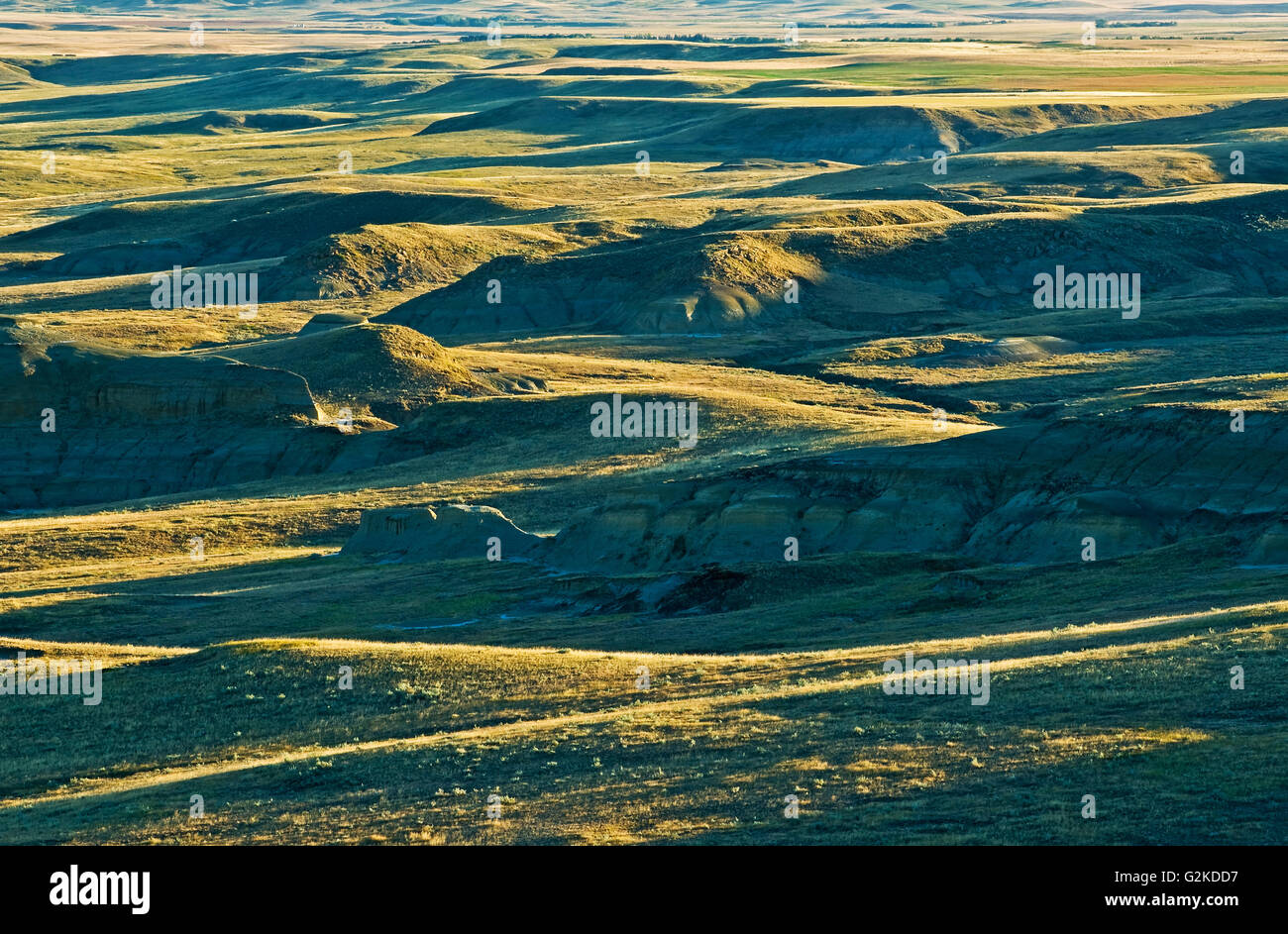 Killdeer Badlands nel blocco orientale praterie Parco Nazionale di Saskatchewan in Canada Foto Stock