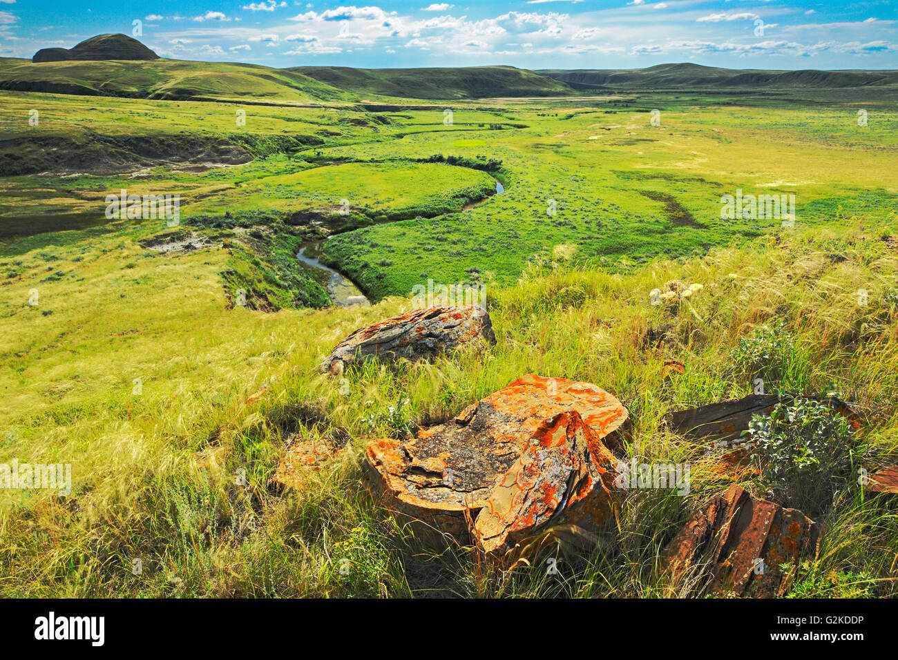 Rocce di arenaria su prairie in Killdeer Badlands. Blocco orientale. Praterie Parco Nazionale di Saskatchewan in Canada Foto Stock