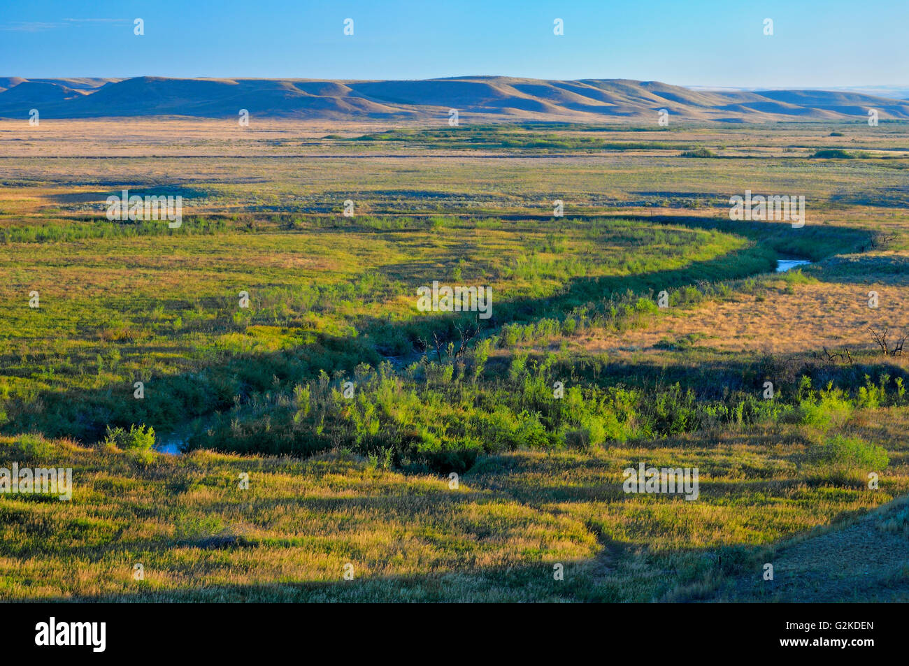 Canadian priaire praterie (blocco West) Praterie Parco Nazionale di Saskatchewan in Canada Foto Stock