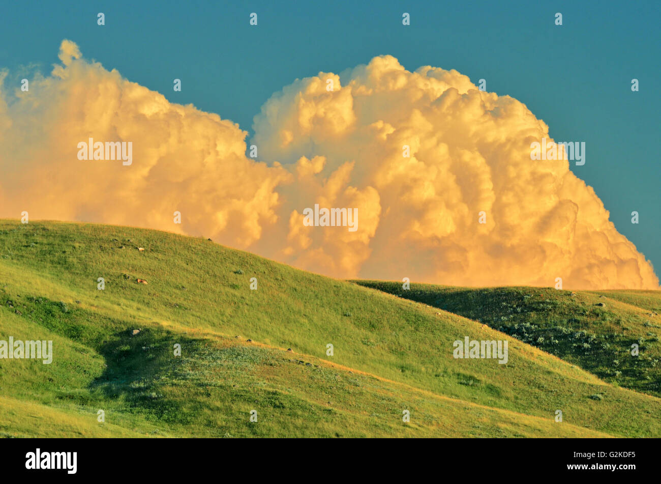 Praterie al tramonto con cumuli di accumuli di cloud per un potente storm (blocco West) Praterie Parco Nazionale di Saskatchewan in Canada Foto Stock