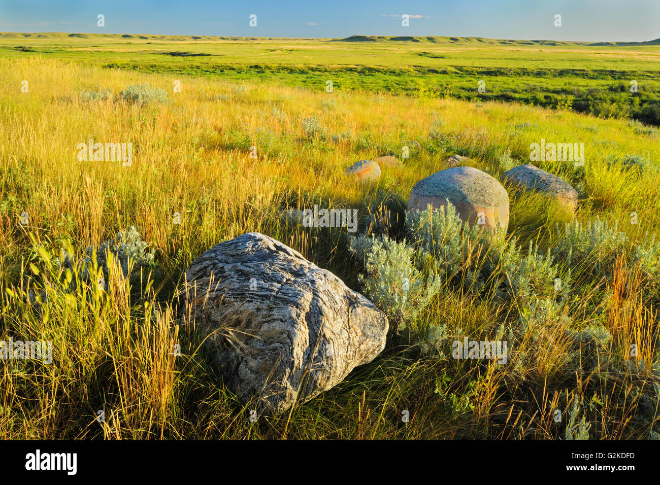 Prairie praterie e pietre di sfregamento (blocco West) Praterie Parco Nazionale di Saskatchewan in Canada Foto Stock