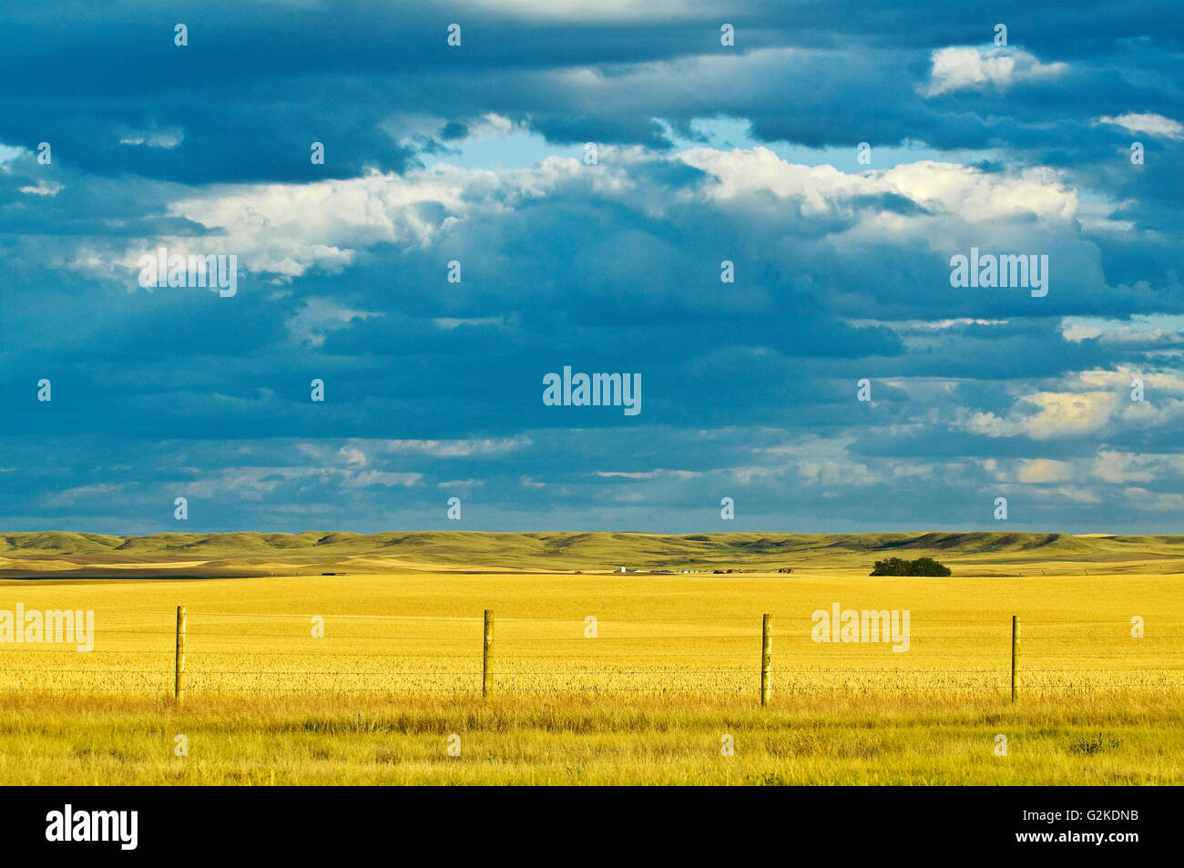 Terreni agricoli a nord di praterie Parco Nazionale di Saskatchewan in Canada Foto Stock