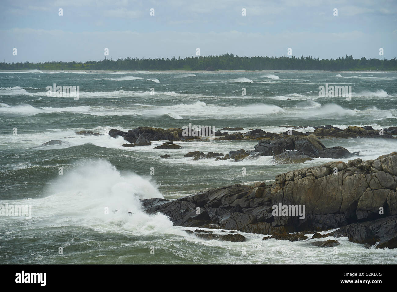 Onda di tempesta, lunga Cove, Nova Scotia, Canada Foto Stock