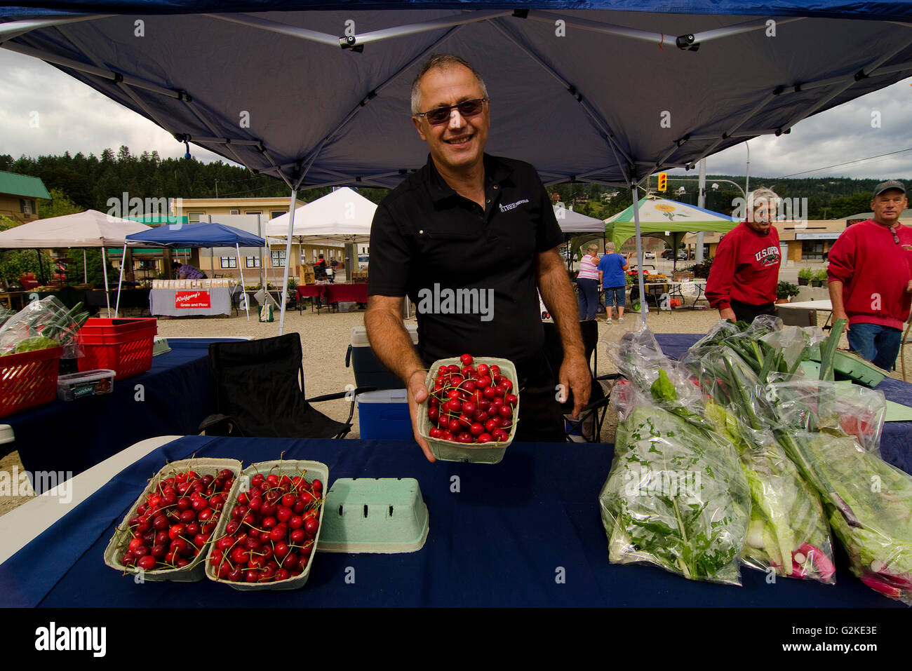 Agricoltore mostra off ciliegie mercato all'aperto in Enderby Shuswap nella regione della Columbia britannica in Canada nessun modello di verbale di rilascio Foto Stock