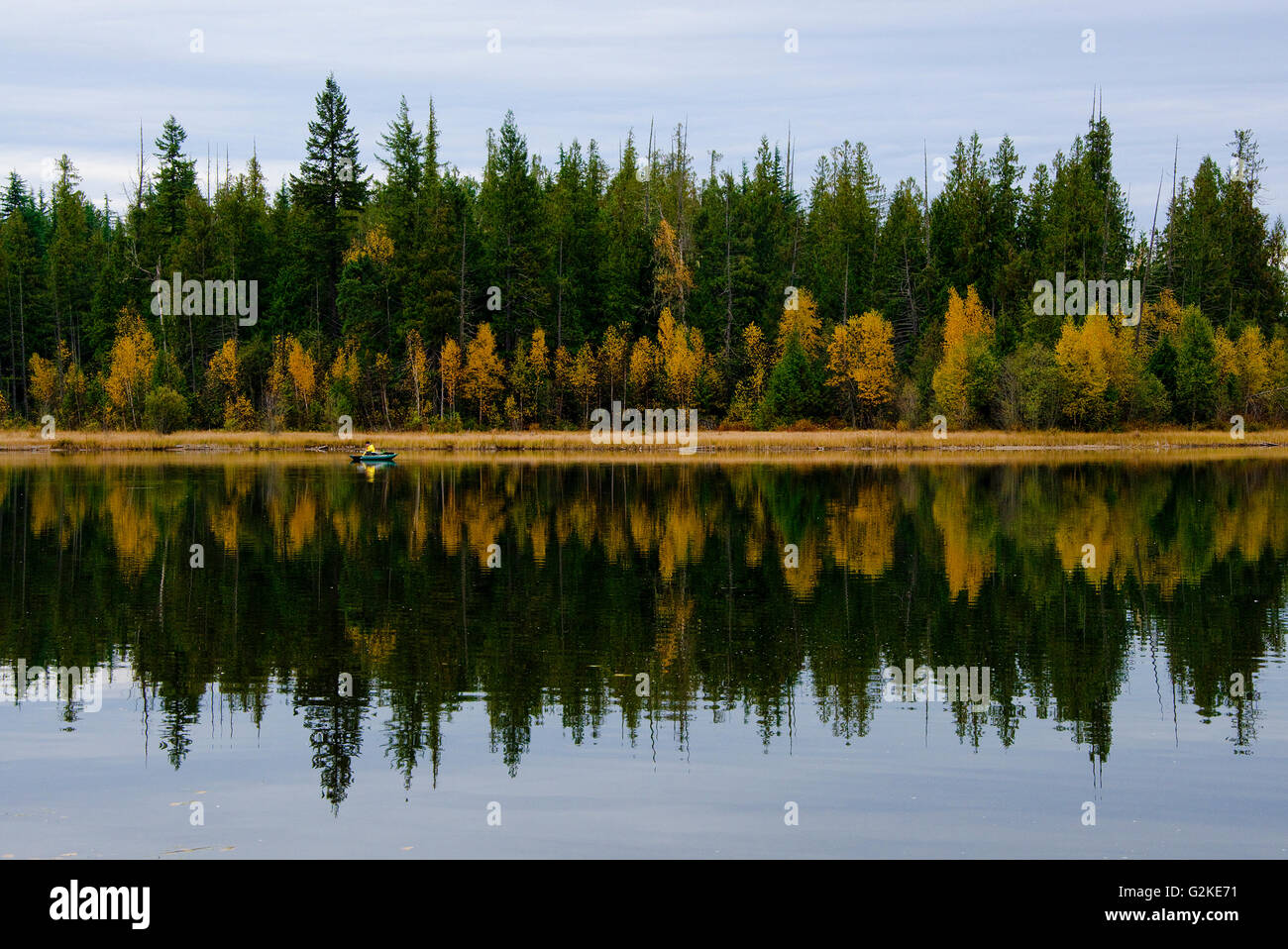 Fisherman gode i colori dell'autunno lungo la riva del lago nascosto vicino Enderby, nella regione di Shuswap della British Columbia, Canada Foto Stock