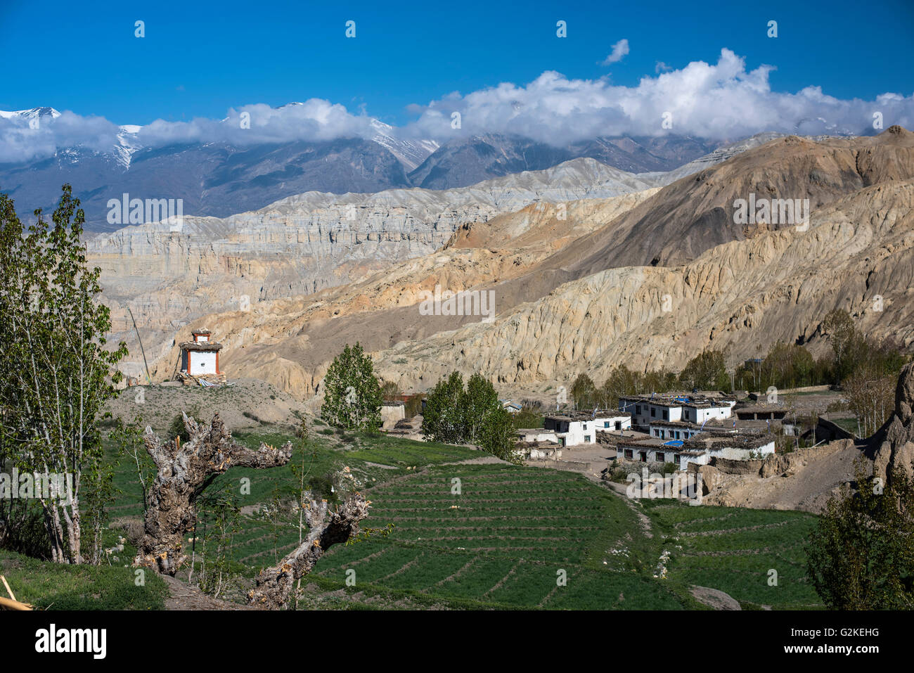 Montagne, paesaggio eroso con un piccolo villaggio, Stupa e campi verdi, Yara, Regno del Mustang, Mustang superiore, Himalaya Foto Stock