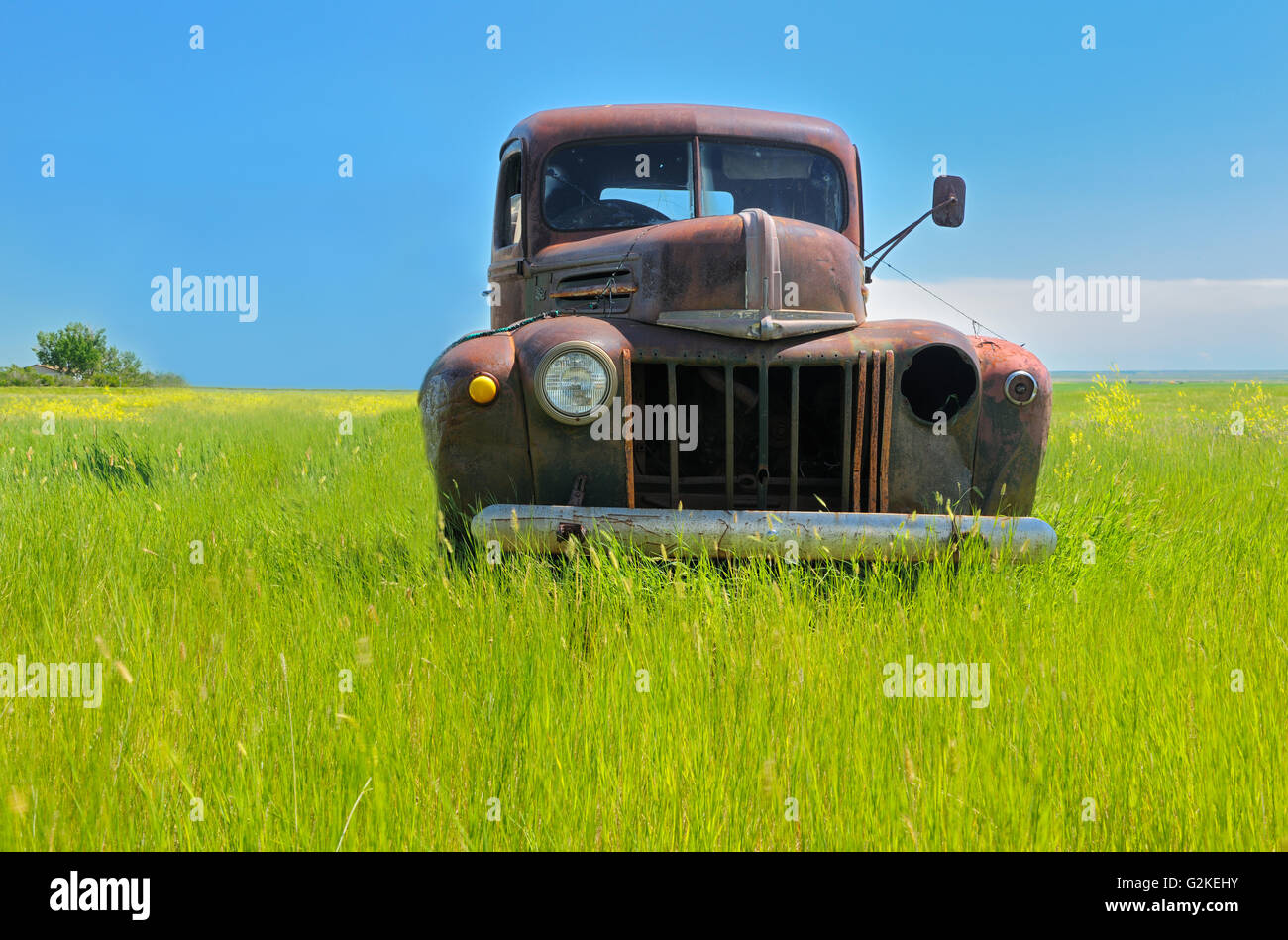 Vecchio carrello Robstart Saskatchewan Canada Foto Stock
