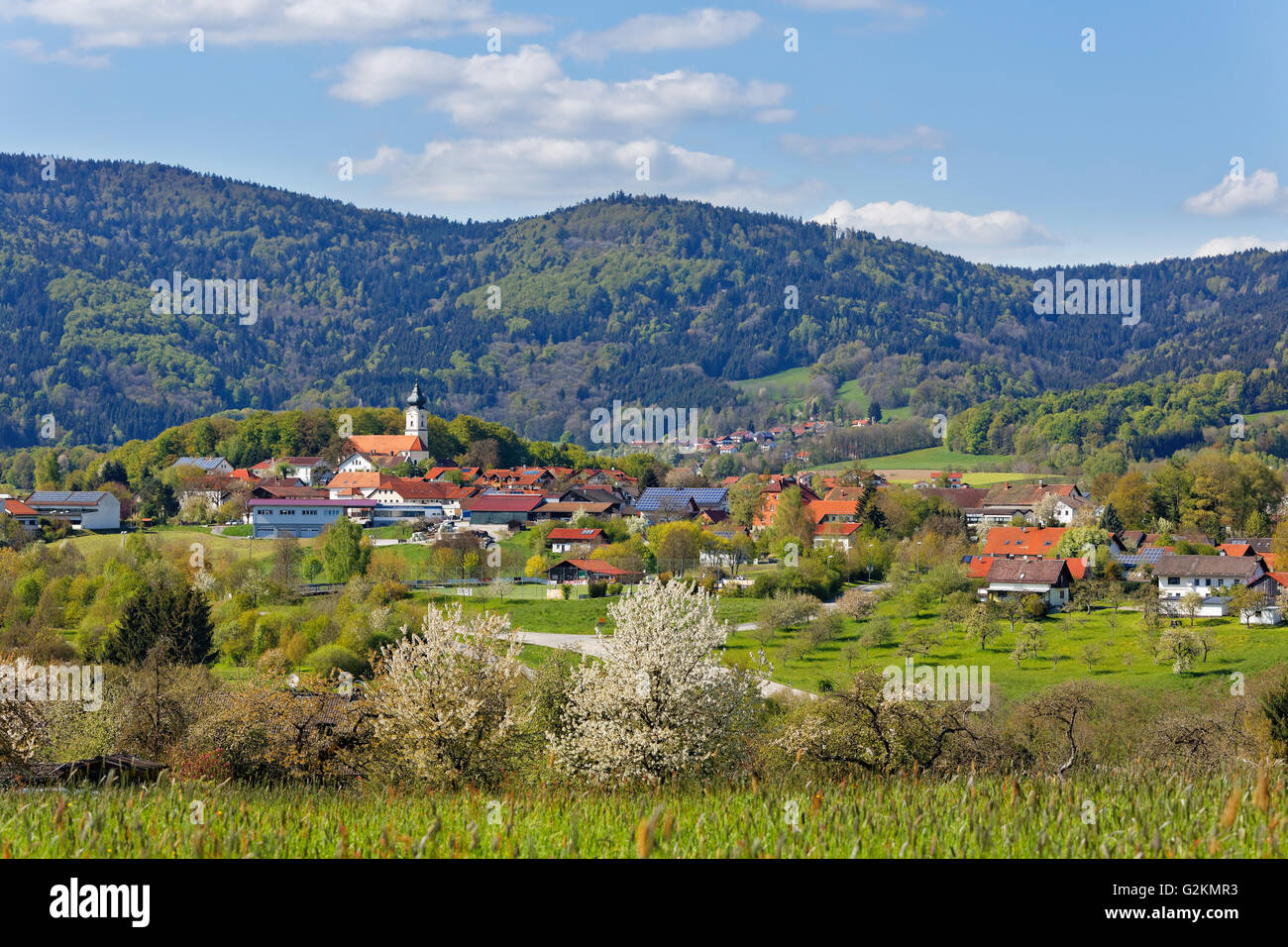 In Germania, in Baviera, Bassa Baviera, Foresta Bavarese, Lallinger Winkel, villaggio Lalling Foto Stock
