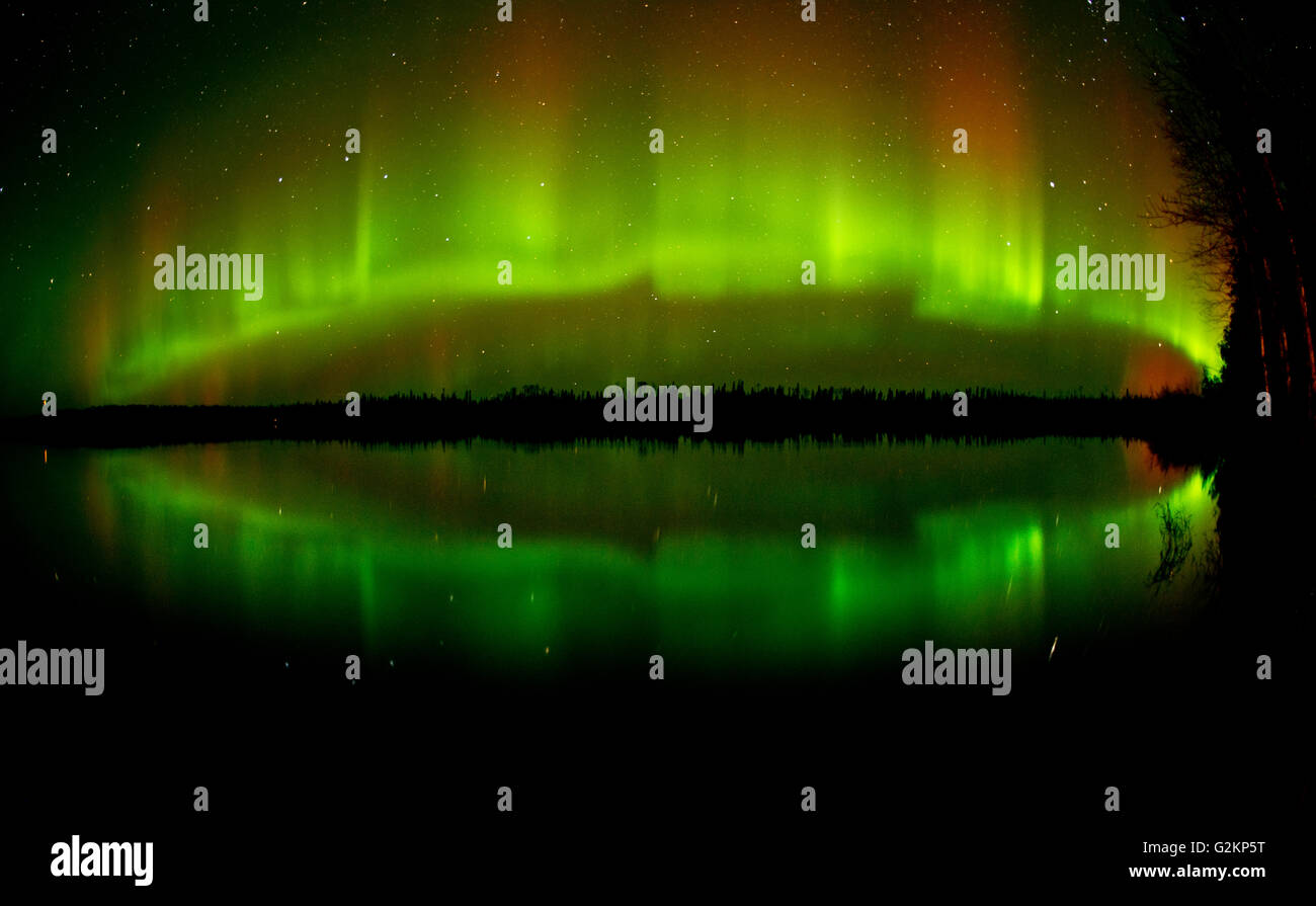 Luci del nord (Aurora boreale) riflesso in a Klotz Longlac Lago Ontario Canada Foto Stock