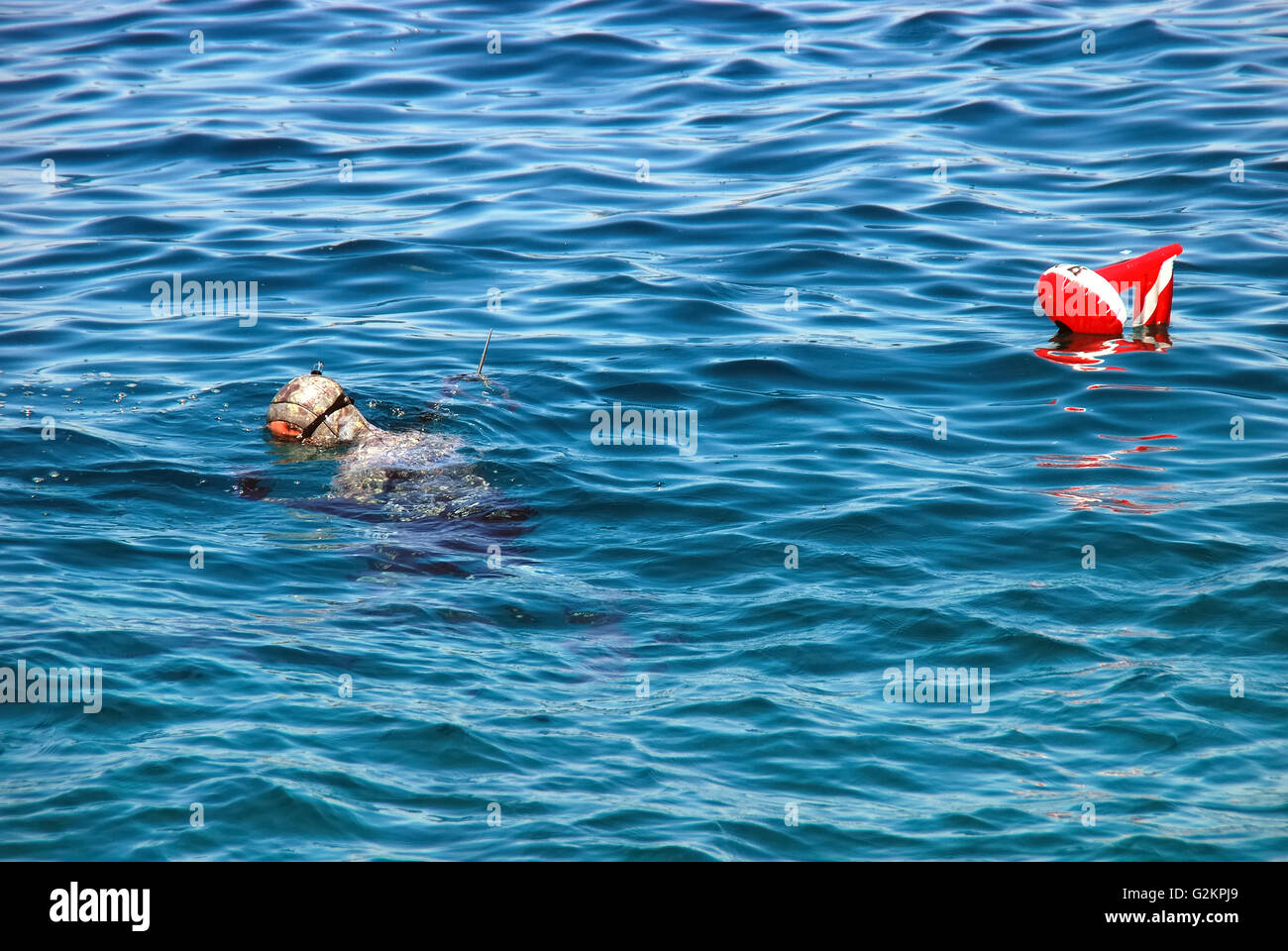 Il promontorio di Kamenjak, Premantura, Istria, Croazia. Un spearfisher.  Oggi la pesca subacquea moderna fa uso di elastici powered spearguns e le  imbracature o gas compresso alimentato pneumatico spearguns, per colpire la