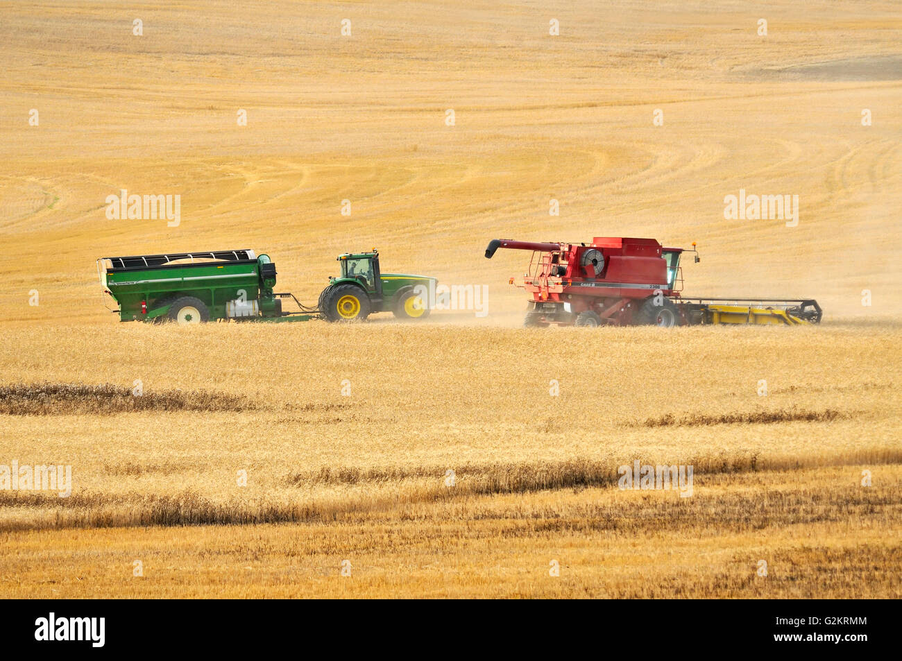 Combinare la raccolta del frumento duro con un carrello per granella Carmichael Saskatchewan Canada Foto Stock