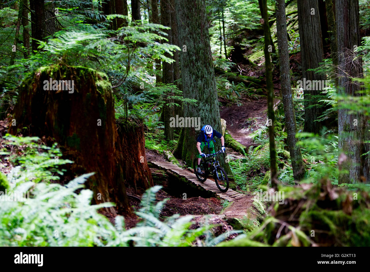 Ghost Bike in Squamish, British Columbia, Canada Foto Stock