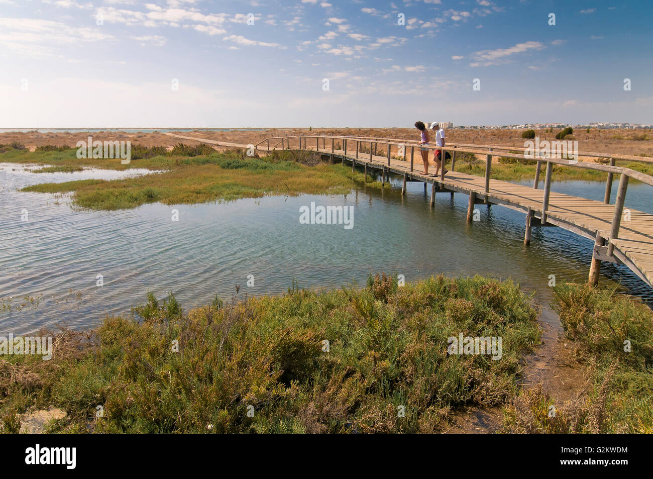 L'Odiel paludi Riserva Naturale, Huelva, regione dell'Andalusia, Spagna, Europa Foto Stock