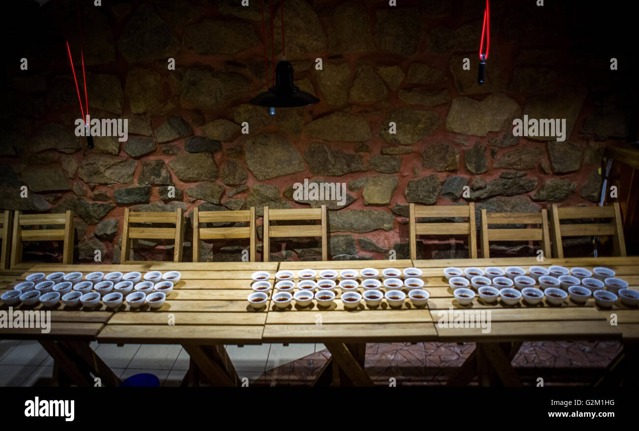 Caffè tavola cuptasting Foto Stock