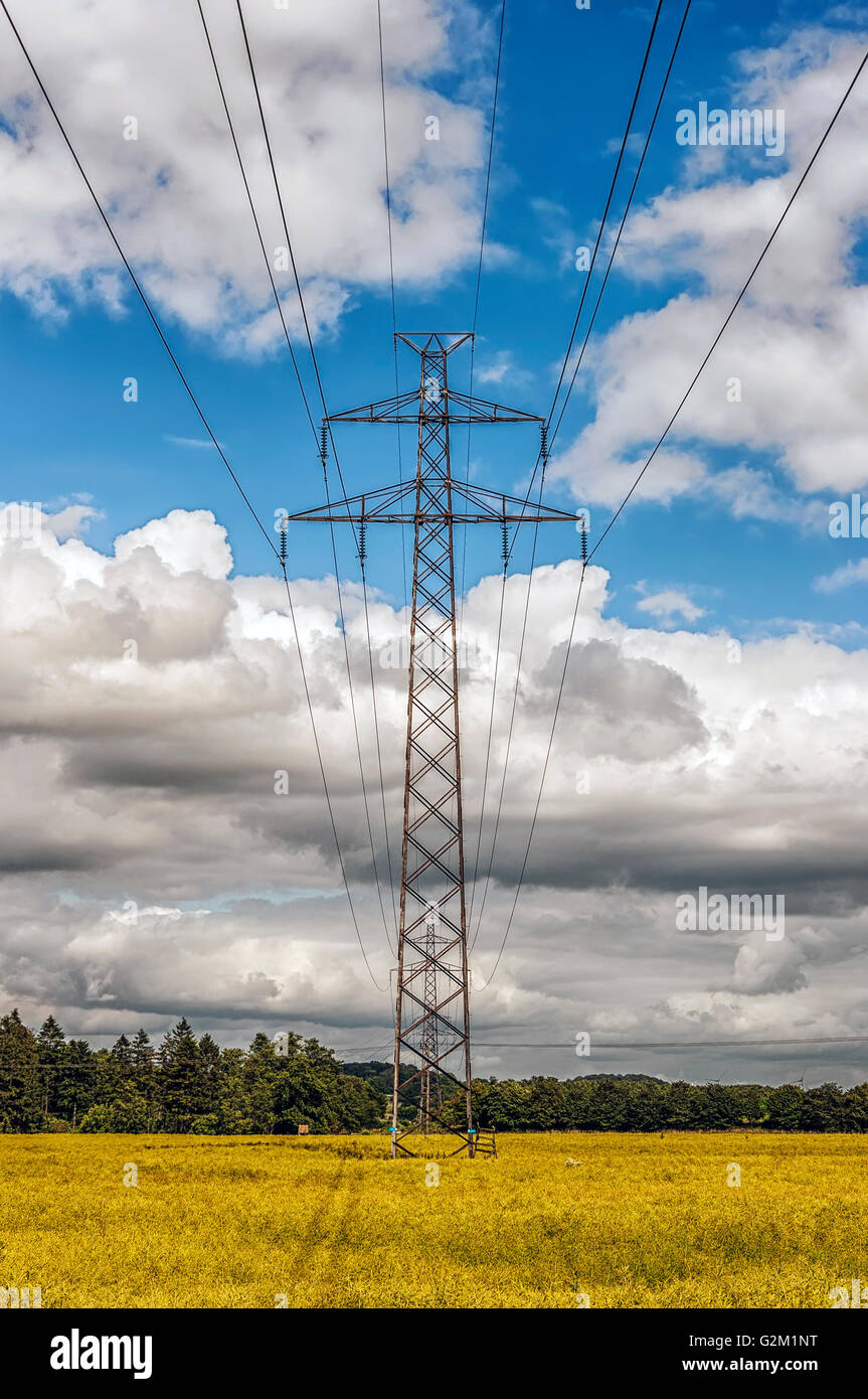 Un pilone elettrico in campagna. Foto Stock