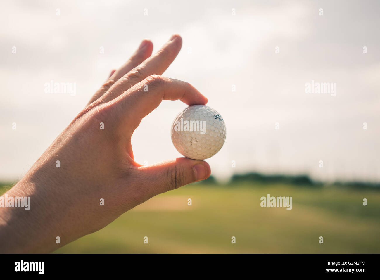 La mia mano che tiene un golfball su un campo da golf Foto Stock