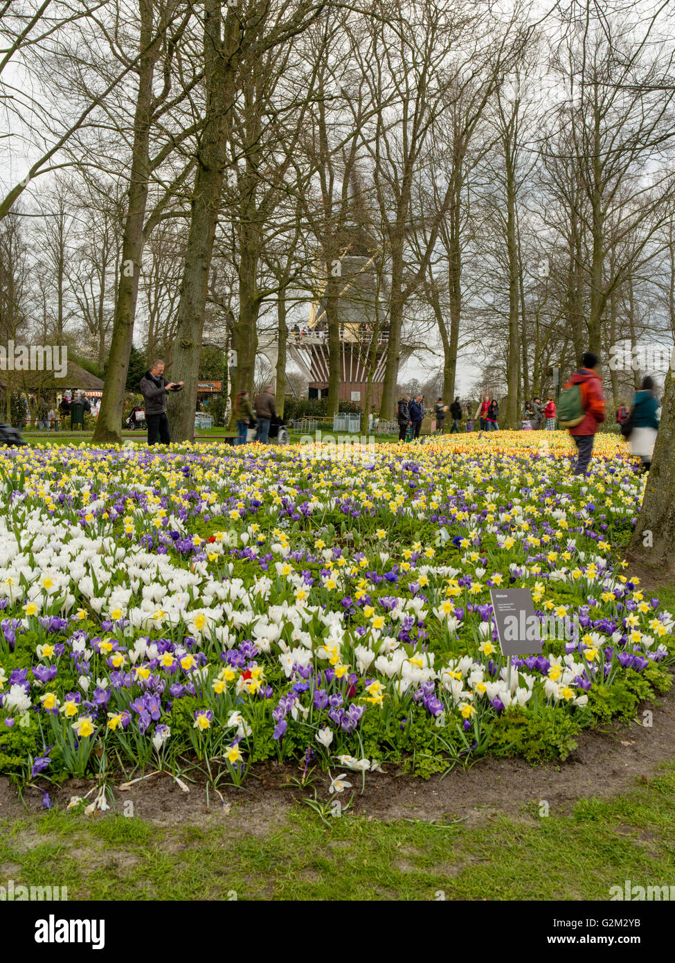 I visitatori a piedi attraverso e godetevi le molte diverse visualizzazioni del fiore a giardini Keukenhof lisse, Paesi Bassi. Foto Stock