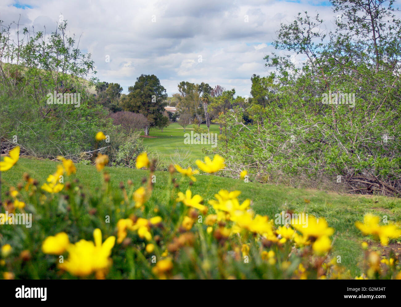 Fine Settimana di golf. Il corso in un giorno nuvoloso. Foto Stock