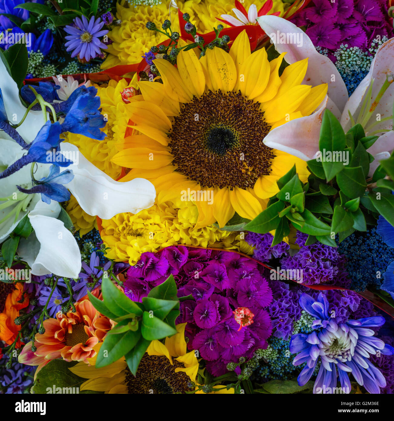 Fiori recisi freschi al mercato degli agricoltori Foto Stock