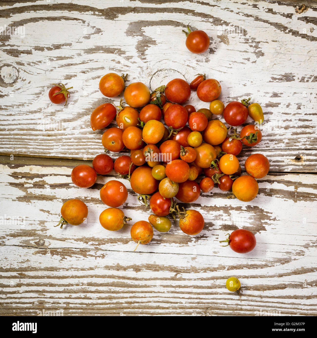 Freschi organici raccolti Baby Pomodori ciliegia su un vecchio tavolo Foto Stock