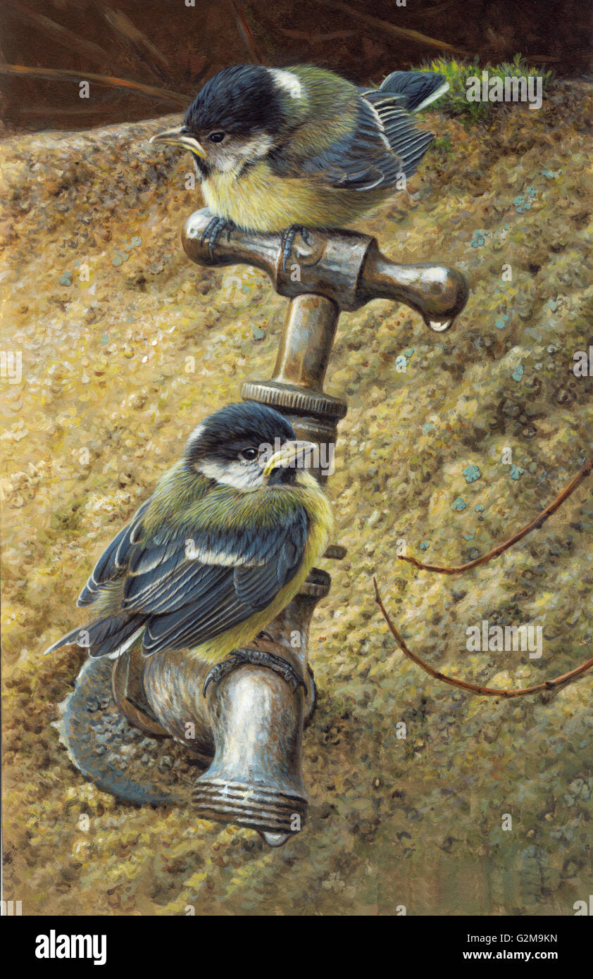 Due chickadees appollaiate sul rubinetto metallico Foto Stock