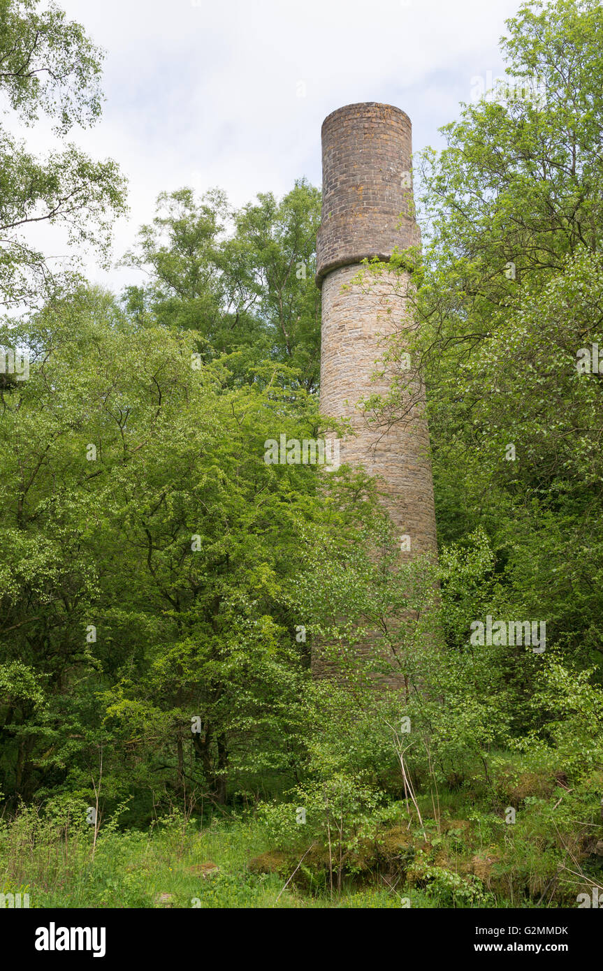 Camino in corrispondenza del sito di Haltwhistle East End pit, visto da masterizzare Gorge sentiero Northumberland, England, Regno Unito Foto Stock