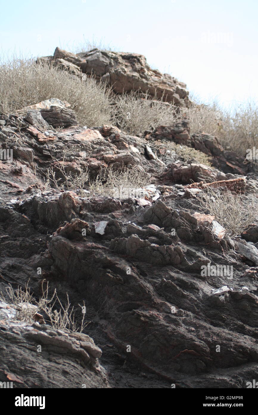 Rocce di ardesia nella riserva naturale Foto Stock