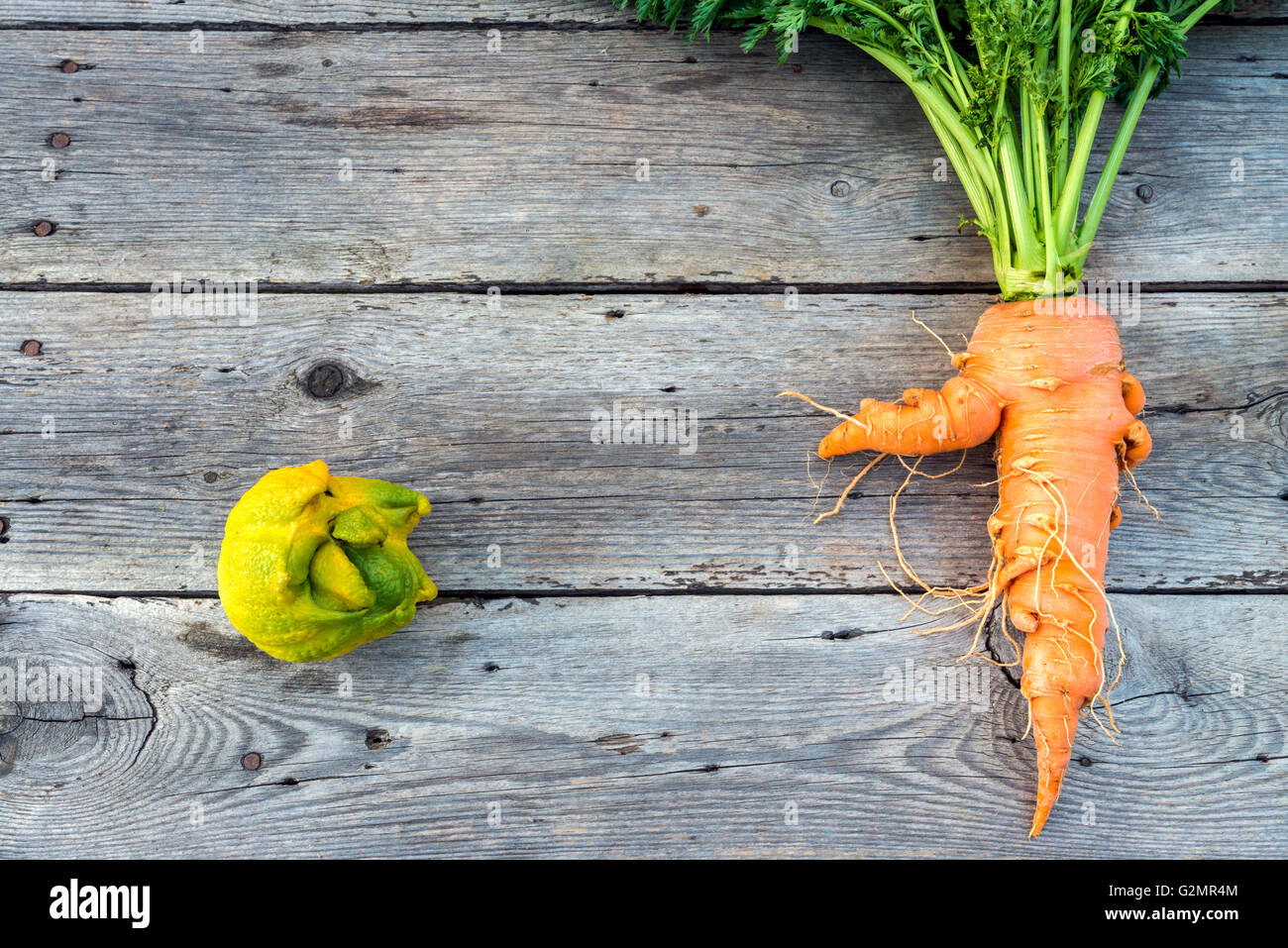 Piano superiore vista laici del trendy brutto organici di carota e limone dal giardino di casa fienile sulla tavola di legno, australiano cresciuto. Foto Stock