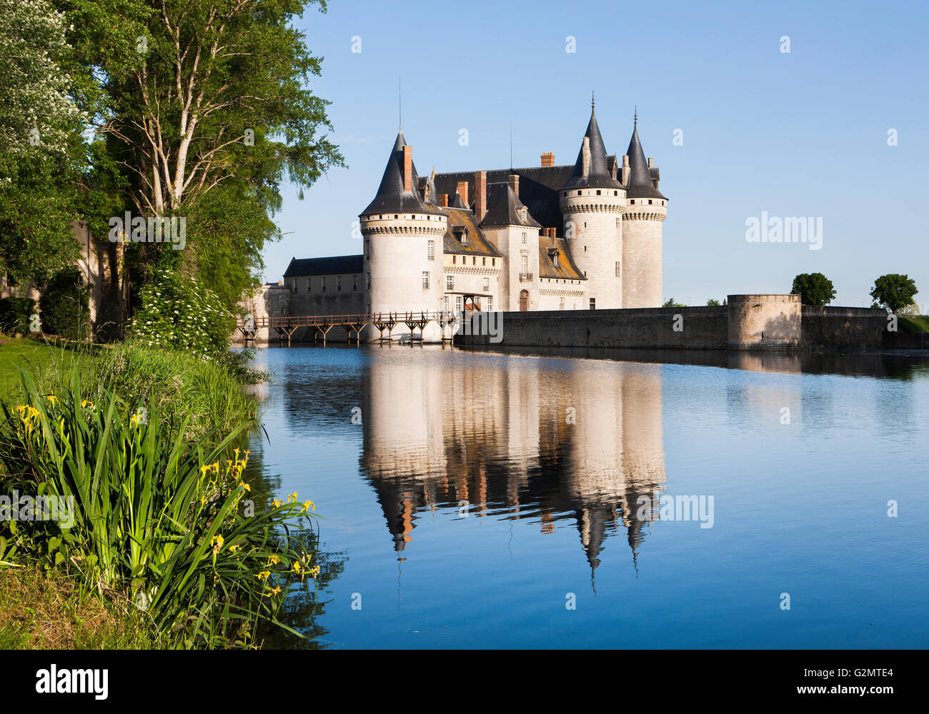 Moated il castello, il Castello di Sully, Sully-sur-Loire, Loiret, Regione centrale, Francia Foto Stock