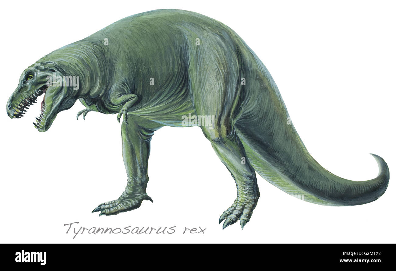 Tyrannosaurus rex cut-out (a colori). Foto Stock Tyrannosaurus rex cut-out (a colori). Foto Stock