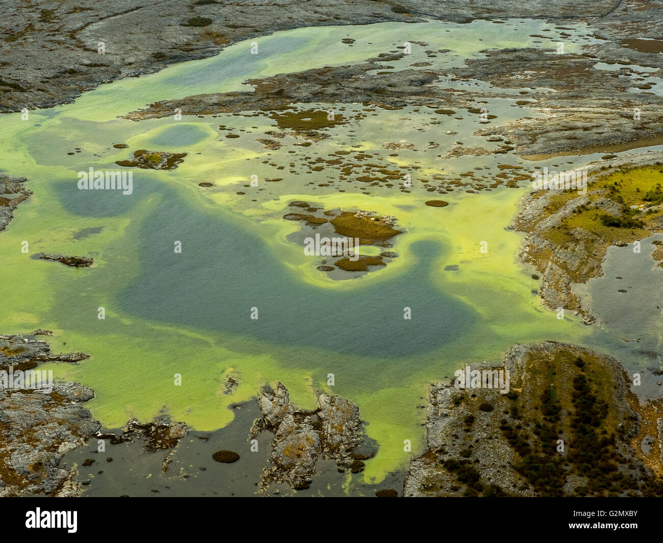 Vista aerea, piccoli laghi nel Burrenfelsen Turloughs, nel Burren, le alghe verdi Burren, riserva naturale di calcare, Chalk Foto Stock