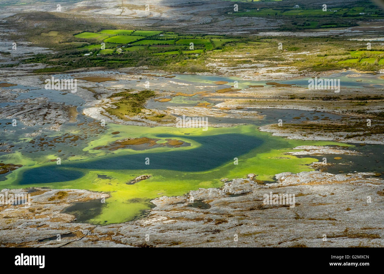 Vista aerea, piccoli laghi nel Burrenfelsen Turloughs, nel Burren, le alghe verdi Burren, riserva naturale di calcare, Chalk Foto Stock