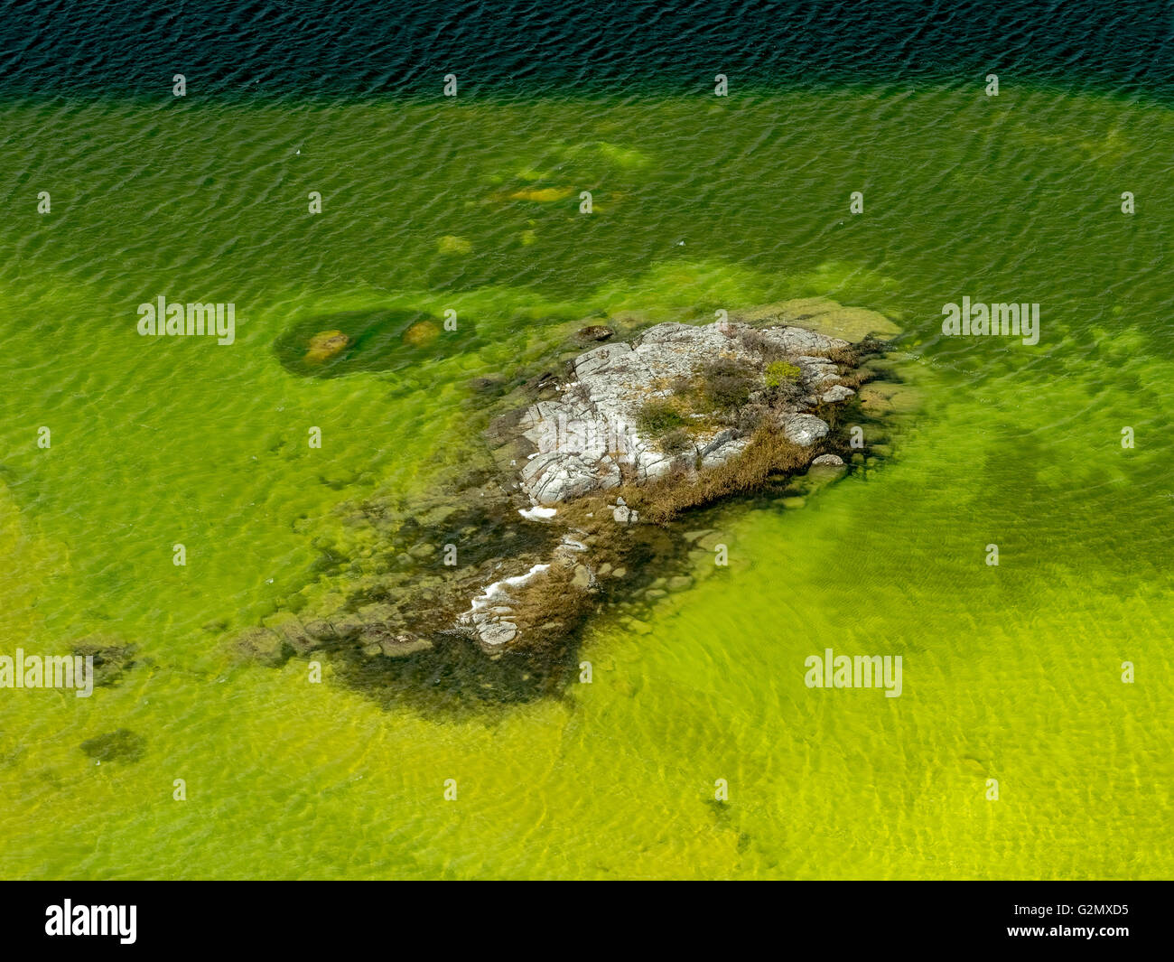 Vista aerea, piccoli laghi nel Burrenfelsen Turloughs, nel Burren, le alghe verdi Burren, riserva naturale di calcare, Chalk Foto Stock